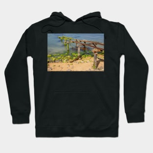 Moeraki jetty. Hoodie